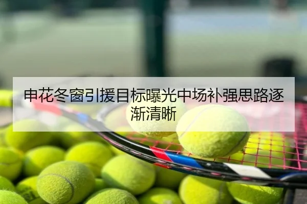 申花冬窗引援目标曝光中场补强思路逐渐清晰